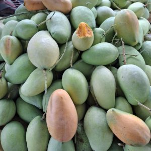 সুমিষ্ট বারি-১১ আম - ১০ কেজি (১ প্যাকেট কুমড়ো বড়ি ফ্রি)