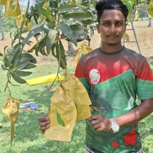 ফ্রুট ব্যাগ - ১০০ পিস