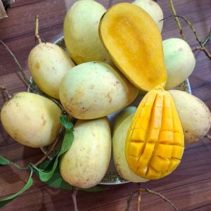সুমিষ্ট কাটিমন আম এক্সপোর্ট কোয়ালিটি (ব্যাগিং) - ১০ কেজি